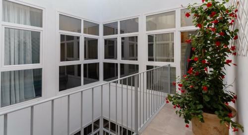 Apartamento Semiloft Romantico Catedral