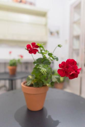 Bed & Breakfast La Gitanilla Alojamiento Con Encanto
