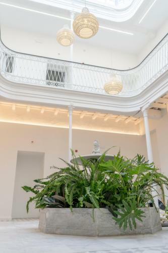 Apartamento Suites Alfonso X