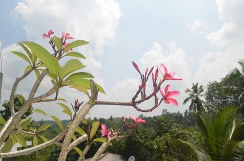 Hostal Calm Side Villa