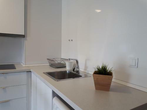 Apartamento Arenal Studio