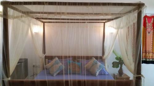 Hostal Dream Cabana
