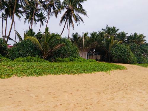 Hikkaduwa Backyard Beach Homestay