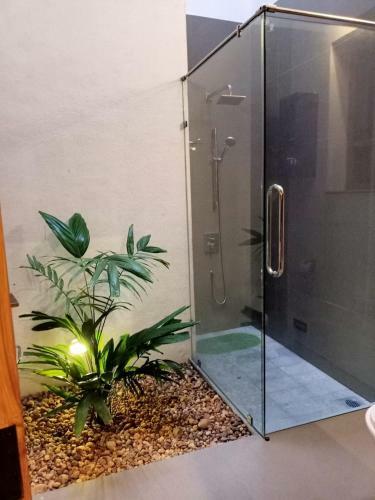 Bed & Breakfast Baheda House