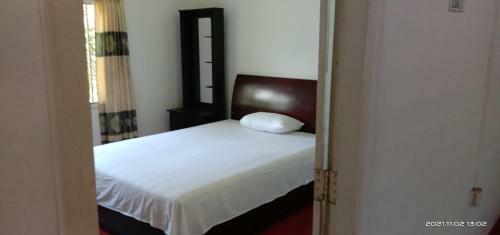 Hostal New The Summer Garden