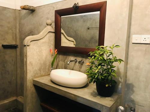 Bed & Breakfast Waterlily 508
