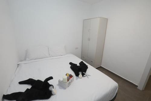 Almog Eilat Luxury Apartment - ????? ???? ???? ?????
