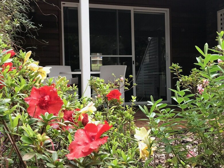 Hotel Forest Lodge Resort