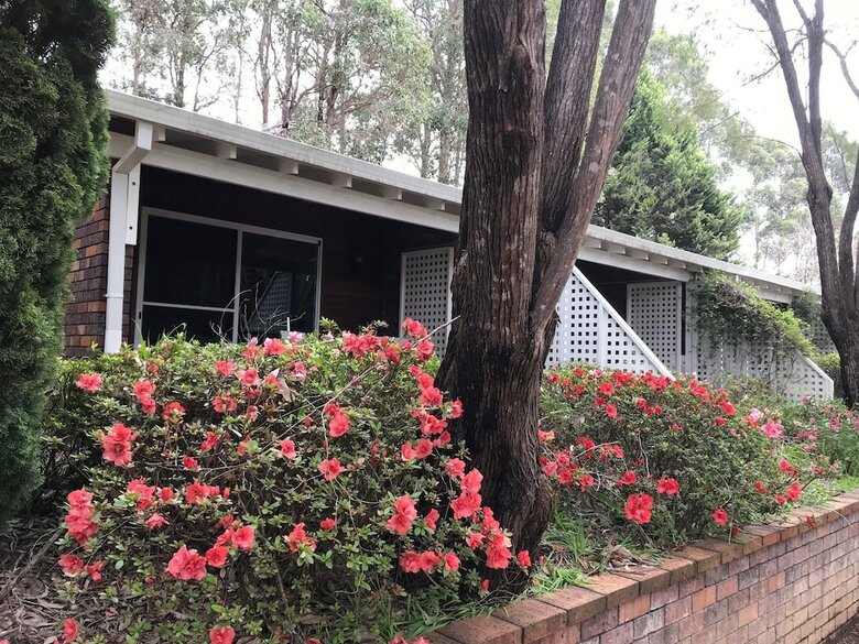 Hotel Forest Lodge Resort