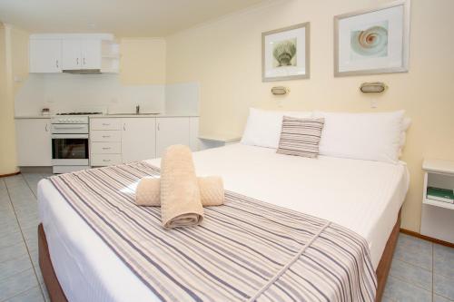 Big4 Forster Tuncurry Great Lakes Holiday Park