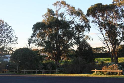 Motel Country Comfort Mt Gambier International