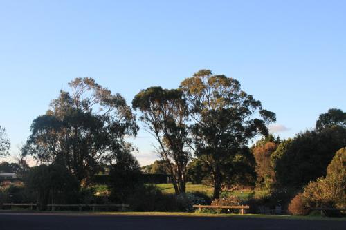 Motel Country Comfort Mt Gambier International