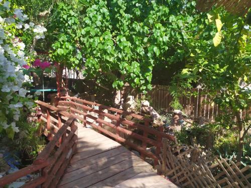 Apartamento Lotus Turtle Garden Eilat