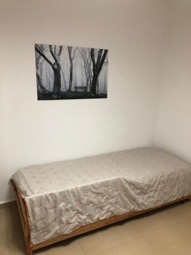 Spacious Bay View Apartment