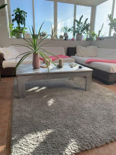 Apartamento Szuper Panor�ma Az �b�lre