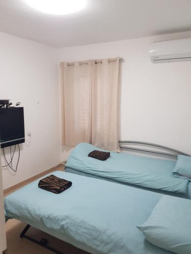 Apartamento ???? ?? ????????