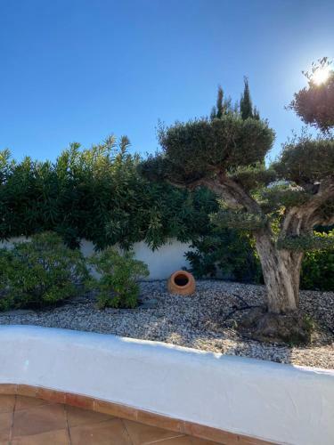 Javea Villa