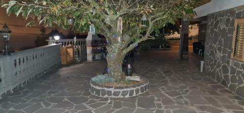 Hostal Casa Ramon B&B