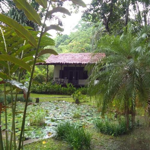Lodge Kuda Laut Resort
