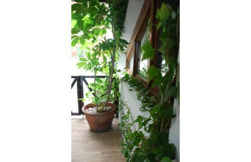 Casa Del Mediterr�neo
