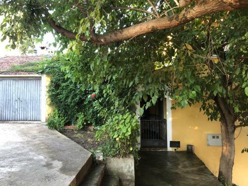 Casa Casillas