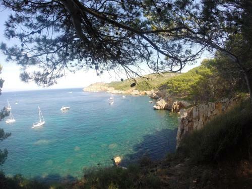 Apartamento Terrassa De Mar
