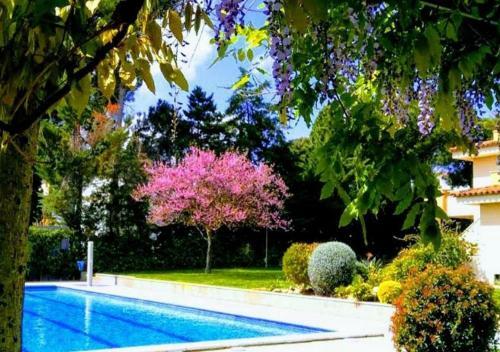 Apartamento Stil Mar Oasis Cerca Del Mar