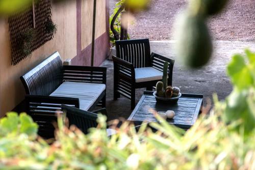 Finca La Plantaci�n _agroturismo