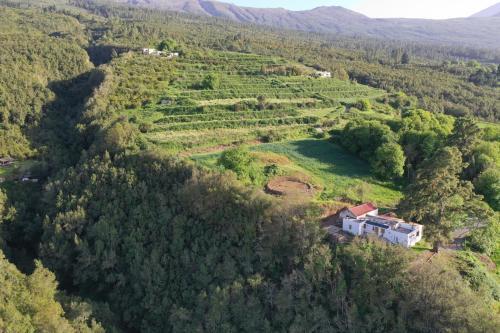 Villa El Pino Centenario 8