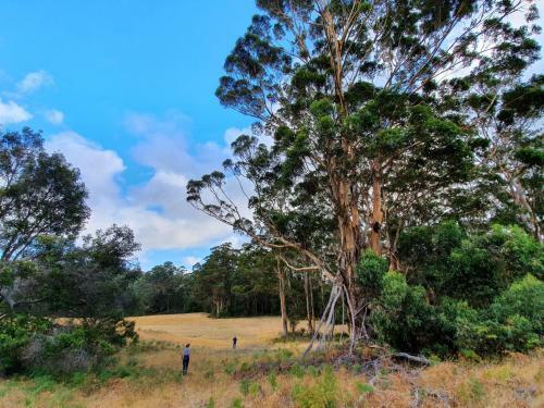 Agroturismo Cinnamon Coloureds Farm Cottages