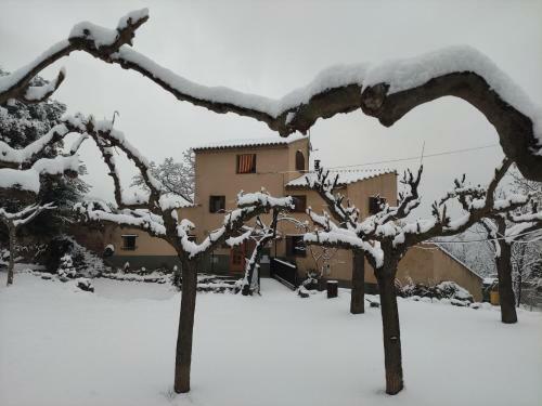 Albergue Refugi de Muntanya Els Masets