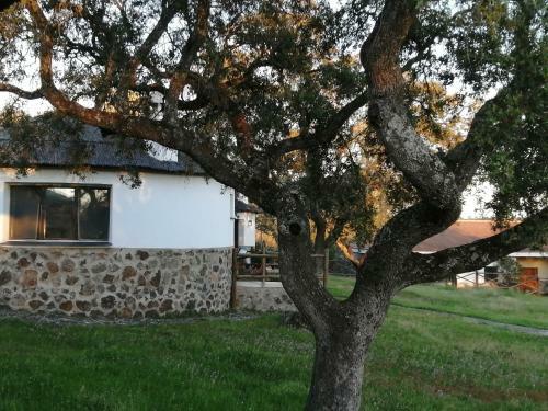 Apartamento Chozos De La Dehesa