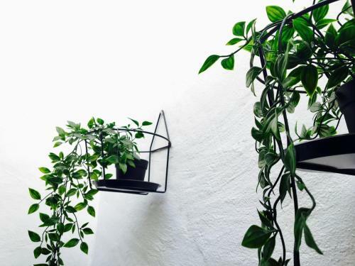 Apartamento Xian