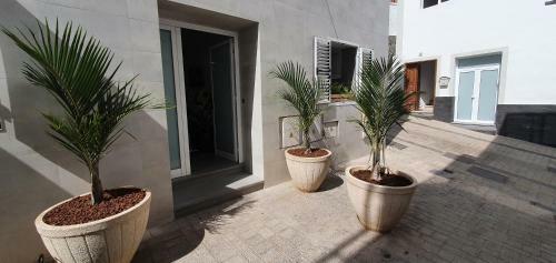 HD Mog�n Coral Apartments