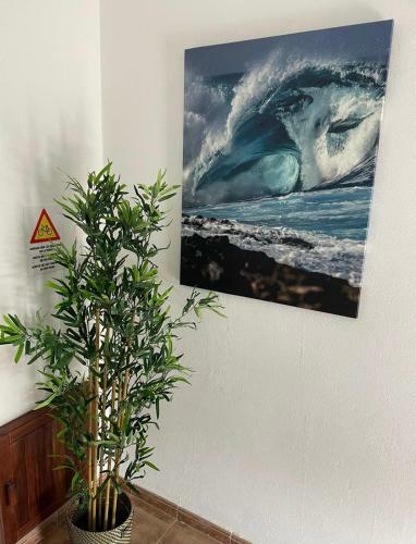 Apartamento Las Quemadas
