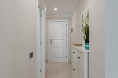 Apartamento Amarre Moon