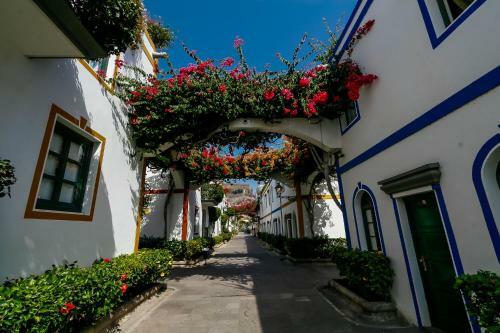 To To Apartments - Puerto de Mog�n