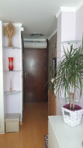 Apartamento La Pineda Beach
