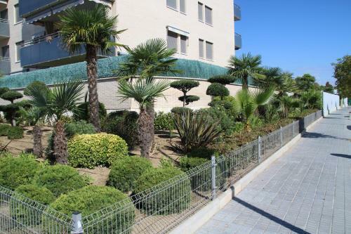 Apartamento Los Olivos
