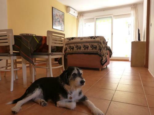 Apartamento Pescadors