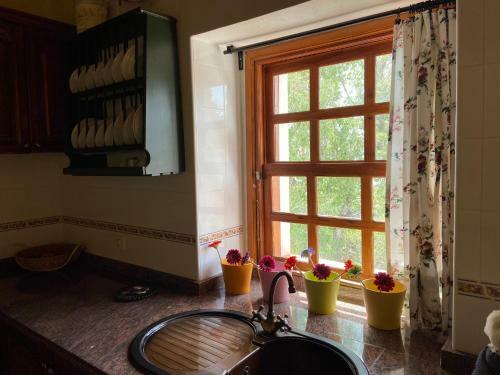 Casas Rurales Tio Antonio