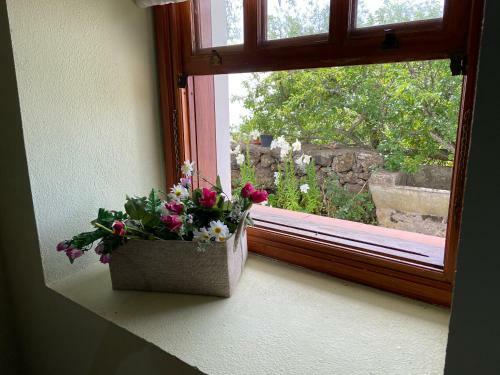 Casas Rurales Tio Antonio