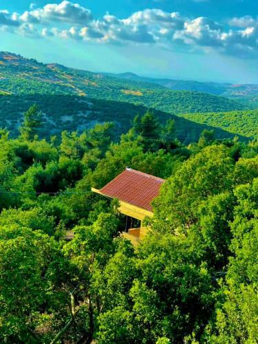 Ajloun Wooden Huts ????? ????? ??????? Live Amid Nature