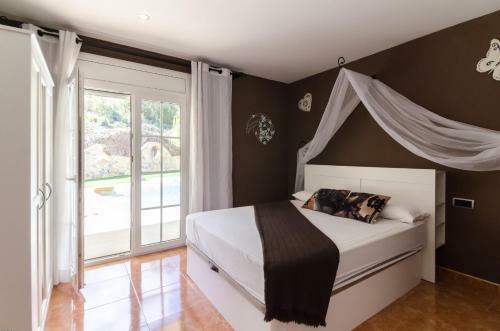 Club Villamar - Guzmania