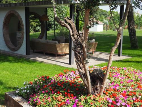 Villa Can Cedre
