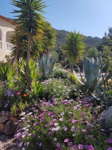 Hostal Sue�o Grande