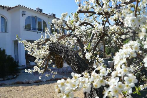 Apartamento Casa Jiby