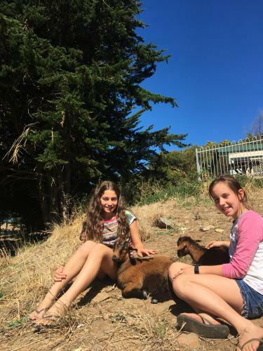 Agroturismo Morella Farm