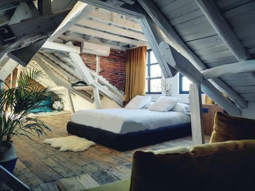 Hostal 13 Suites