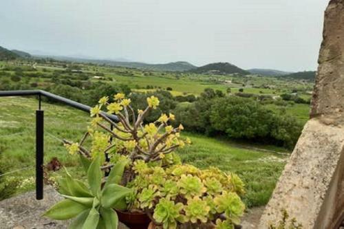 Villa Son Real Mansi�n En Un Lugar Aislado Con Increibles Vistas Panor�micas